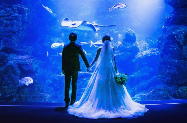 他では叶えることができない海の世界をテーマにした結婚式